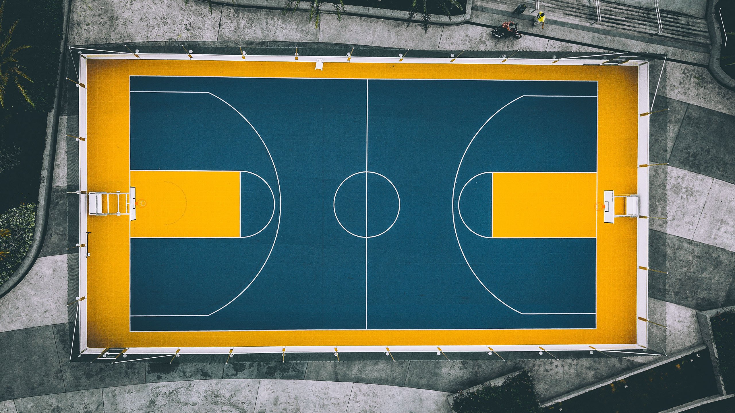 世界体操团体赛金牌教练举办公开课，世界体操锦标赛2021金牌榜